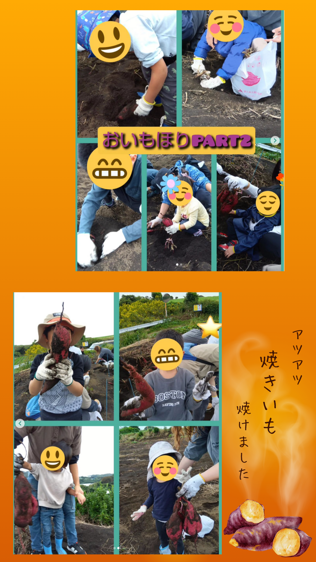 芋掘り